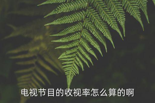電視收視率，電視節目的收視率怎么算的啊
