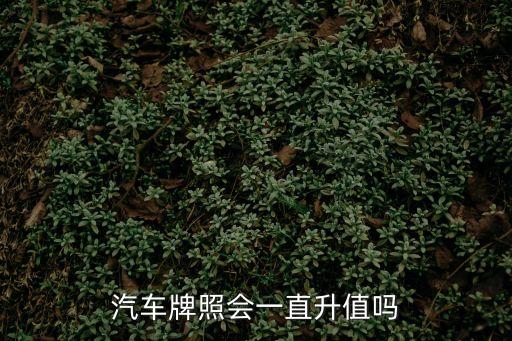 汽車牌照會一直升值嗎