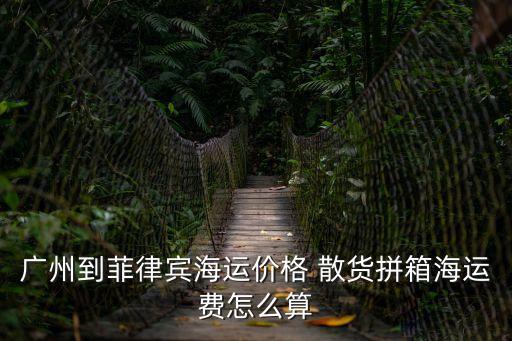 廣州到菲律賓海運價格 散貨拼箱海運費怎么算