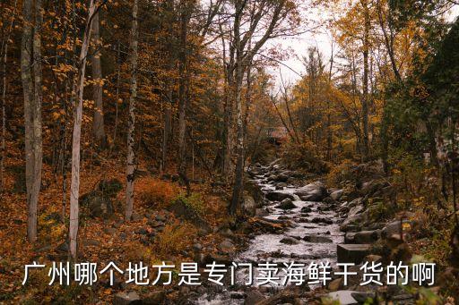 廣州哪里有擺攤賣海鮮的，廣州哪里多海鮮賣