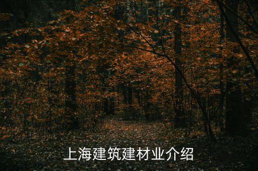 上海市建筑材料行業，上海建材生意目前好做嗎