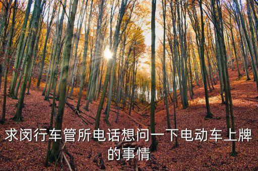 求閔行車管所電話想問一下電動車上牌的事情