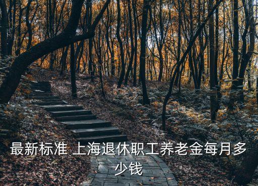 上海市職工養老金，高分懸賞上海市基本養老金