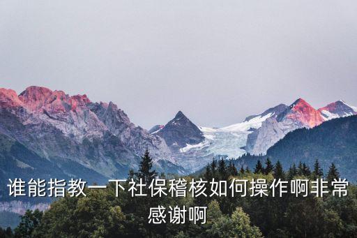 誰能指教一下社保稽核如何操作啊非常感謝啊