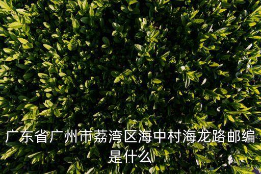 廣東省廣州市荔灣區海中村海龍路郵編是什么
