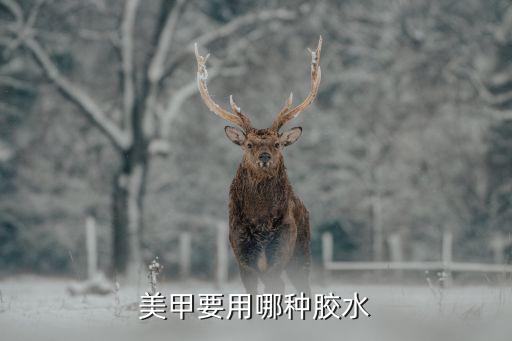美甲膠，美甲要用哪種膠水