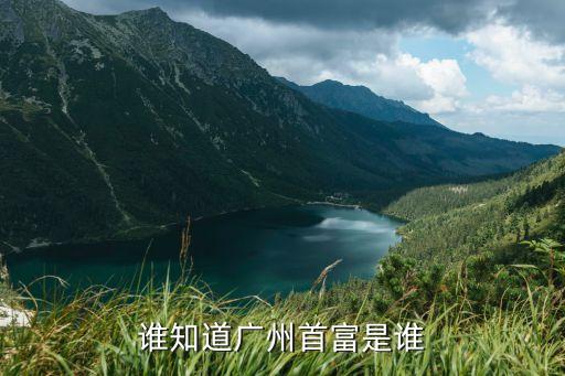 羅裕春廣州，廣州市編辦主任是誰