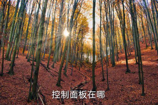 控制面板在哪