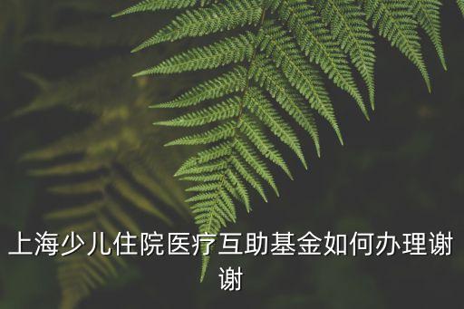 上海少兒住院醫療互助基金如何辦理謝謝