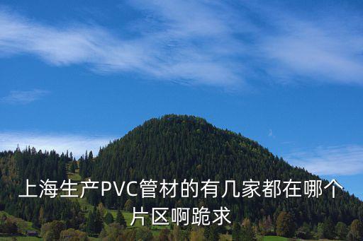 上海市塑料管業，上海哪家生產的PPR管好有公司路線圖嗎