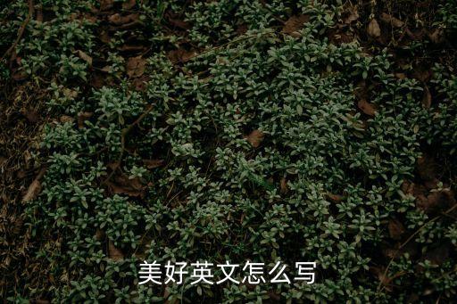 美好英語，用英語翻譯美好