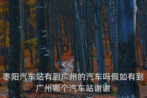 棗陽汽車站有到廣州的汽車嗎假如有到廣州哪個汽車站謝謝