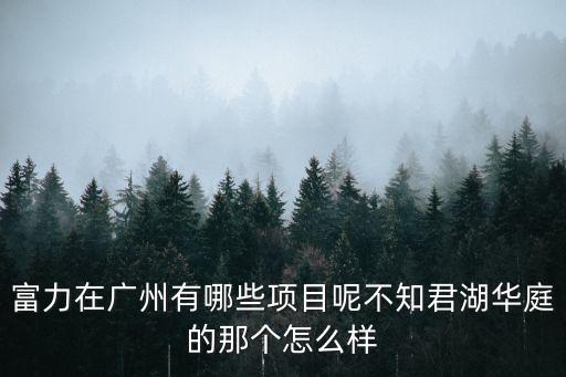 富力在廣州有哪些項目呢不知君湖華庭的那個怎么樣