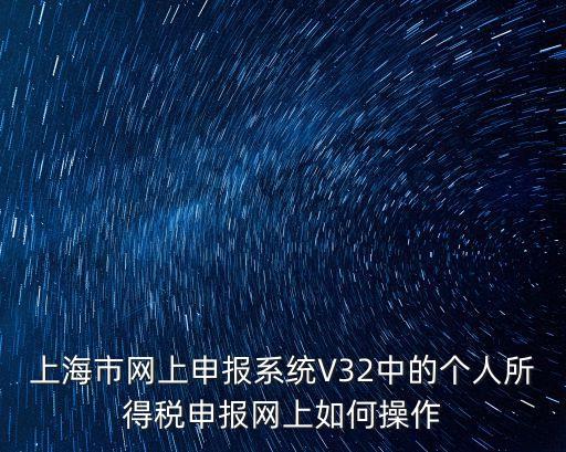上海市稅務局電子申報系統，上海網上報稅系統