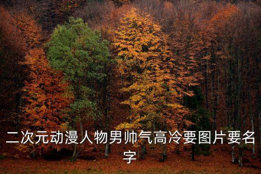 動(dòng)漫頭像男生冷酷，要男的動(dòng)漫頭像越酷的越好眼睛發(fā)光的
