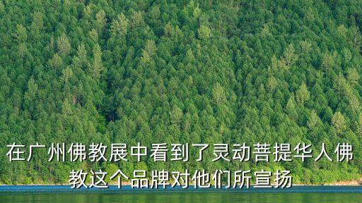 廣州寺廟展會，在廣州佛教展中看到了靈動菩提華人佛教這個品牌對他們所宣揚