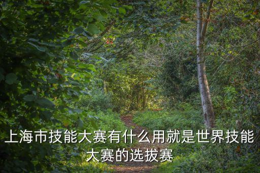上海市技能大賽宣傳片，上海 全國職業學院技能大賽二等獎 高職組 能升本科嗎