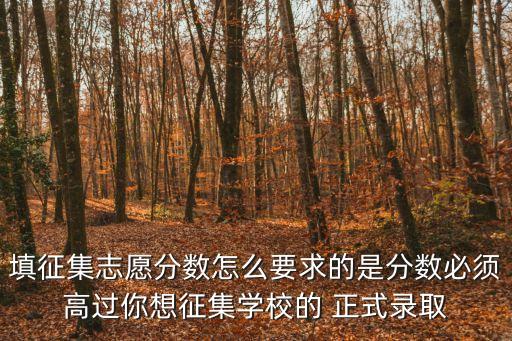 填征集志愿分數怎么要求的是分數必須高過你想征集學校的 正式錄取