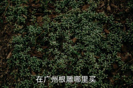 廣州哪里可以賣根雕，樹雕根雕原材料廣州出了芳村花鳥魚蟲市場外哪里比較多