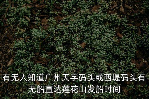 有無人知道廣州天字碼頭或西堤碼頭有無船直達(dá)蓮花山發(fā)船時(shí)間