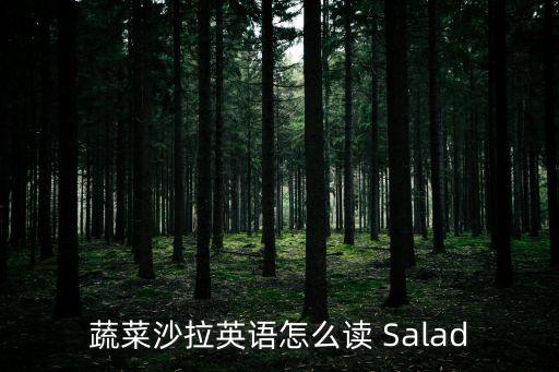 蔬菜沙拉英語怎么讀 Salad