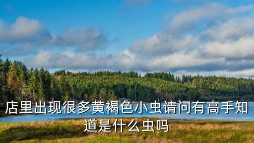 廣州黃褐色小蟲子，一小蟲約一厘米長體黃褐色有很多足尾部有叉形觸須常出