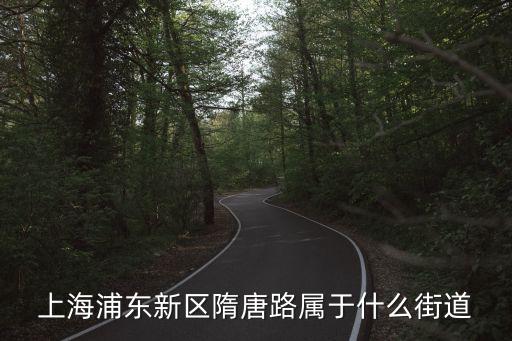上海市隋唐路，上海市有條路叫做曹楊路請問這條路在上海的哪一個區(qū)謝謝