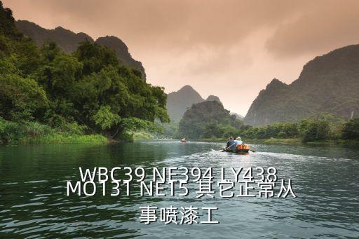WBC39 NE394 LY438 MO131 NE15 其它正常從事噴漆工