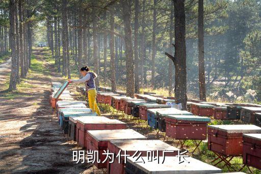 廣州香煙廠長是什么級別，廠長上面是什么職位