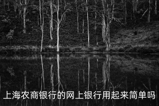 上海市農商銀行網上銀行，如何開通上海農商行網上銀行