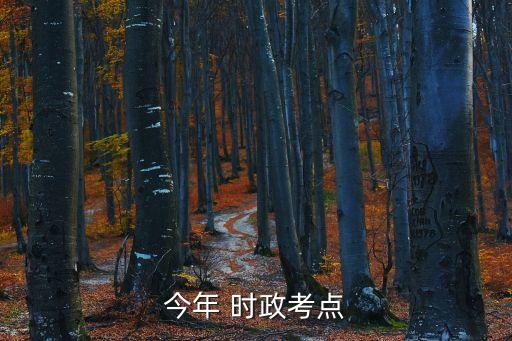 今年 時政考點