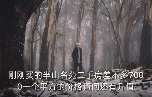 廣州白沙半山名苑，剛剛在半山名苑買的二手房86平方請問升值空間大嗎