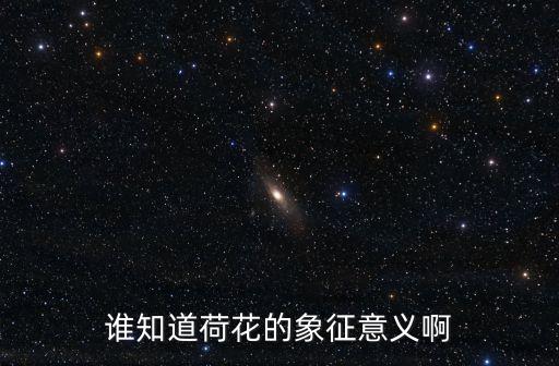 荷花象征，荷花象征什么