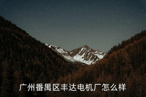 廣州番禺區豐達電機廠怎么樣
