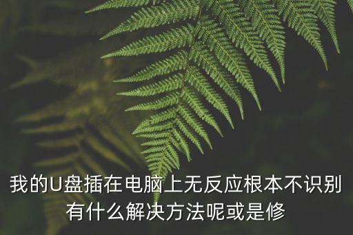我的U盤插在電腦上無反應根本不識別有什么解決方法呢或是修