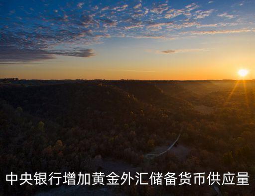 上海市中央銀行行長(zhǎng)劉金保，中國(guó)誰(shuí)最有錢(qián)
