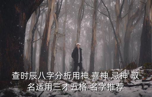 查時辰八字分析用神 喜神 忌神 取名適用三才五格 名字推薦