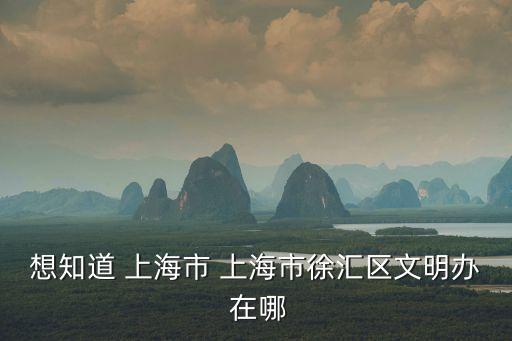 想知道 上海市 上海市徐匯區文明辦 在哪