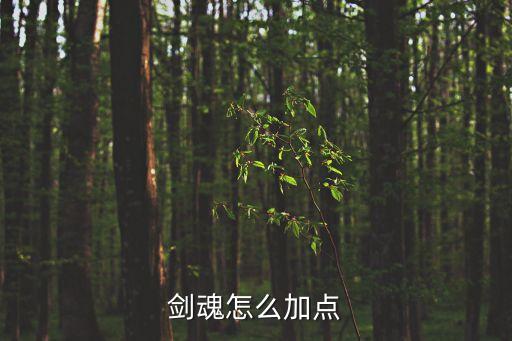 劍魂怎么加點