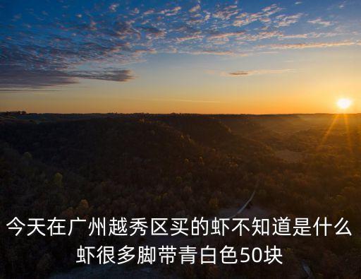 廣州的蝦賣的便宜嗎，塘沽哪個地方賣蝦便宜現在是凍蝦的時候嗎