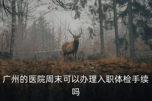廣州的醫(yī)院周末可以辦理入職體檢手續(xù)嗎