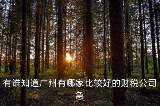 有誰知道廣州有哪家比較好的財稅公司急