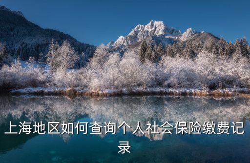 上海地區如何查詢個人社會保險繳費記錄