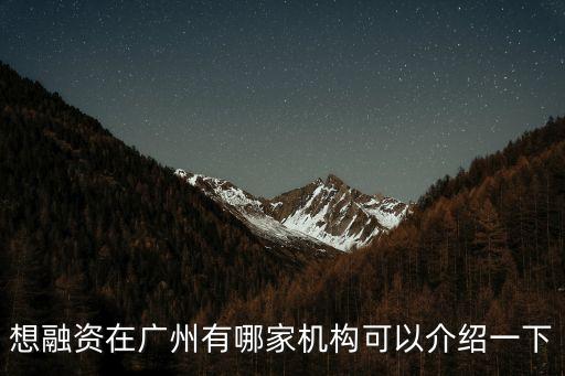 想融資在廣州有哪家機構可以介紹一下