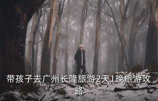 漳州到廣州長隆親子游攻略，準備帶娃自由行去廣州長隆有去過的能給個攻略嗎