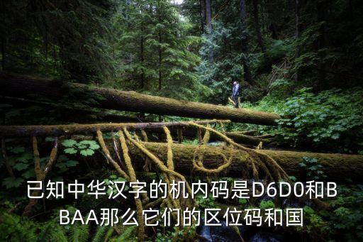 bbaa，已知中華漢字的機(jī)內(nèi)碼是D6D0和BBAA那么它們的區(qū)位碼和國