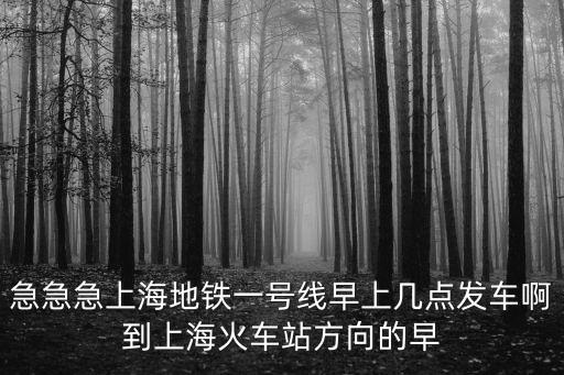 上海市一號課題內容，上海一號線 星期六早上 700 人多嗎
