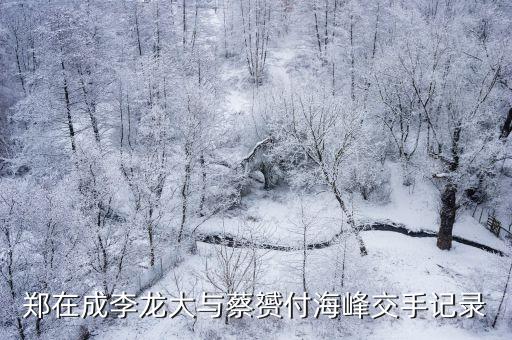 鄭在成李龍大與蔡赟付海峰交手記錄