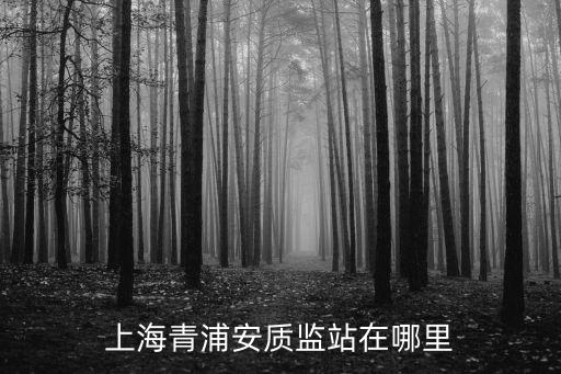上海青浦安質監站在哪里