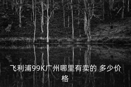 飛利浦99K廣州哪里有賣的 多少價格